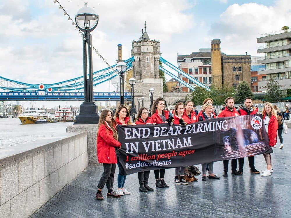 foldable fabric banner printing